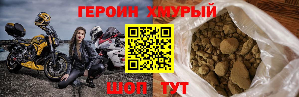 ГЕРОИН хмурый Дивногорск