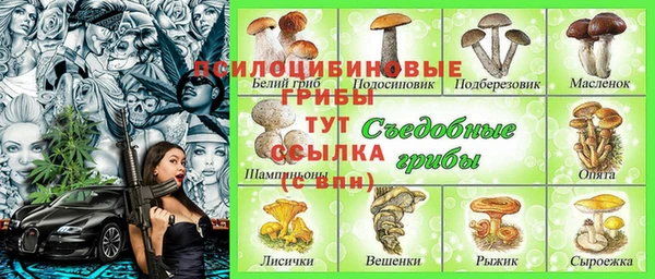 мет Алапаевск