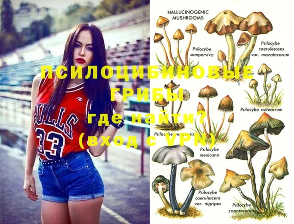 твердый Аксай