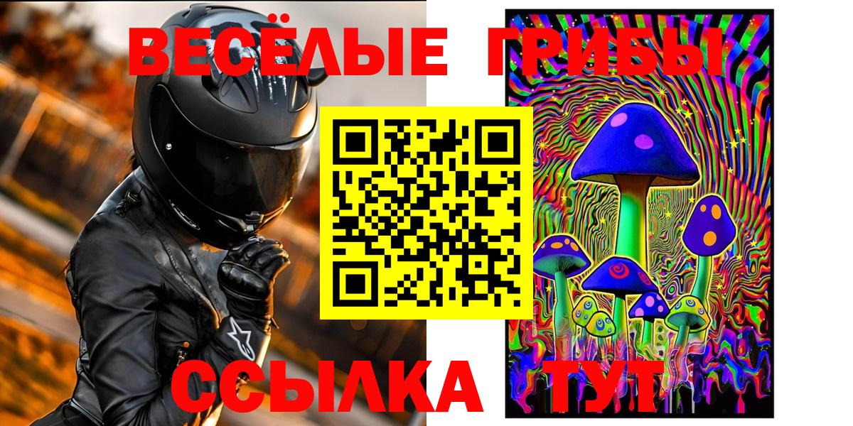 Псилоцибиновые грибы Psilocybe  Галлюциногенные грибы ЛСД  Вход с VPN  Дивногорск 
